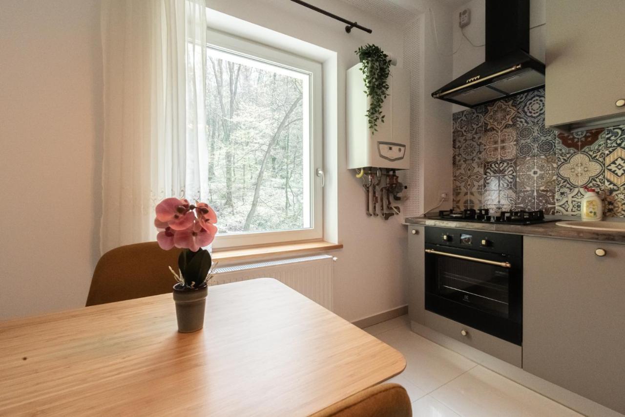 Nature Apartment - Minutes Away From The Old Town And Afi Mall Брашов Екстер'єр фото